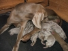DSCF3135_800